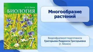 Тема 15. Многообразие растений