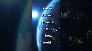 Top 10 Fastest Animals In The World #shorts #viral #animals