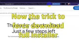How to download Google Chrome offline or standalone setup 