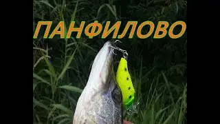 Щука на спиннинг в д.Панфилово на платнике 