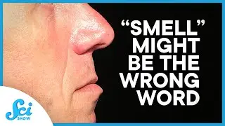 Your Nose Does More Than You Give It Credit For