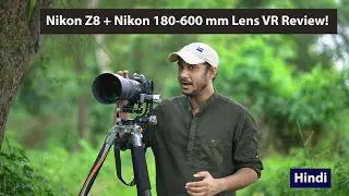 Nikon Z8 + Nikon 180-600mm  Lens Vibration Reduction Performance Review | Bird Photography