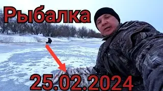 Рыбалка на поплавок 25 февраля 2024! Взгляни в Лицо Своему Страху,что-бы поймать этих Монстров Болот