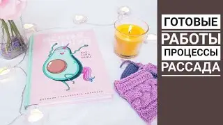 Готовые работы, процессы вязания, Рассада