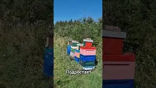 Сезон  2024 подходит к концу