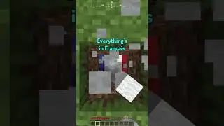 Minecraft but... ITS ALL IN FRENCH! | 