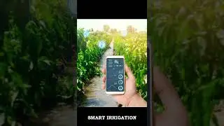 Modern Irrigation Techniques in Agriculture