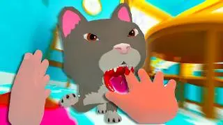 Cat VS Baby - Baby Hands VR
