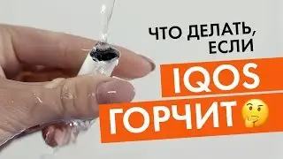 IQOS горчит или воняет. Что делать?
