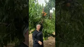 В «Нескучном саду» с веселыми гостями