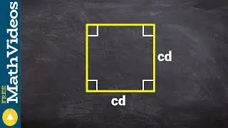 Multiply monomials to find the area of a square