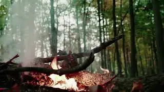Костёр в лесу 💗 Очень красивое видео без авторских прав 👍 Скачать бесплатно