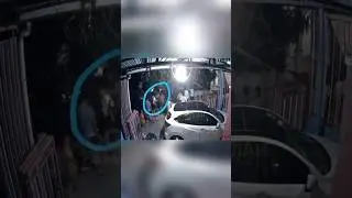 KEMUNCULAN KUYANG DI SAMARINDA BIKIN GEGER 