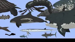Size Comparison: Prehistoric sea monsters(Animated).