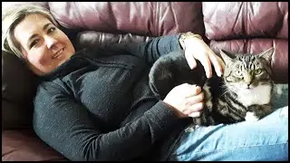 MOLLIE'S MEMORIES OF MY CATS JINX AND MITTENS