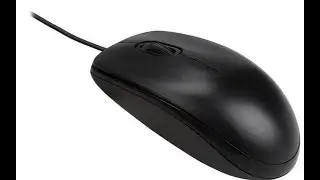 How Does A Mouse Work?