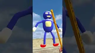 SIZE COMPASIRON ALL ORIGINSL AND SONIC TAPES FAMILY in Gmod #sizecomparison #sonicshorts