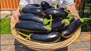 Баклажани на зиму 2 смачні рецепти 🍆  Важко встояти перед цією закускою