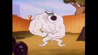 Audio Test 553