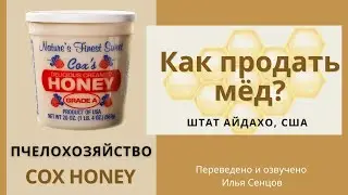 Как продать мед? История семьи Кокс из штата Айдахо (США)