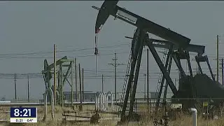 Business expert reacts to the collapse in oil prices