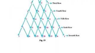11th Class Ncert Lab Manual/CBSE Board Practical Handbook .Activity-15 Solution