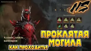 4 Сезон Проклятая могила что надо Знать? | Dragonheir: Silent Gods | Nekromans