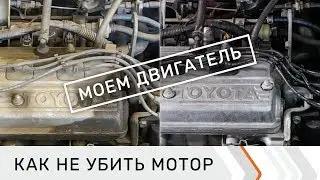 Мойка двигателя своими руками. Как не убить мотор после мойки. Средство для мойки двигателя авто