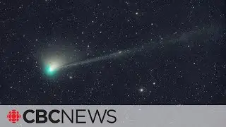 Green comet visible in night sky for 1st time in 50,000 years