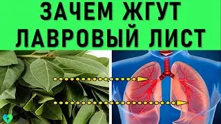 Тлеющий Лавровый Лист способен на многое. Дышите 10 мин. его дымом. Дым лаврового листа полезен!