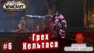 World of Warcraft : Shadowlands - Вентиры: Борьба с грехом (6)