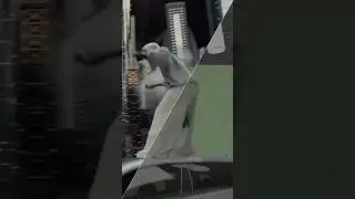 After some days of editing 