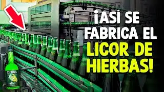 ¿Cómo Se Hace El Licor De Hierbas? [Proceso En Fábrica]