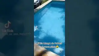 MiReN MaNgA De pObReS Mi nUeVa pIleTa