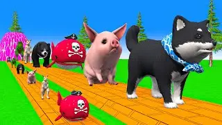 Paint & Animals Cow,Shiba,Piglet,Dolphin,Bear,Fountain Crossing Transformation Animal Cartoon