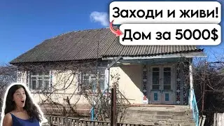 🇺🇦 Заходи и живи! Дом в селе за 5000$ Продажа недвижимости за копейки Всё есть! Уютное, тихое село