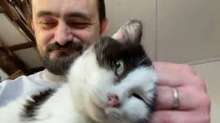 ПАМЯТИ УДИВИТЕЛЬНОЙ КОШКИ БАБУСИ😻КОТОЖИЗНЬ!