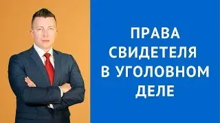 Права свидетеля в уголовном деле - Адвокат по уголовным делам