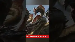 DITAKUTI SEMUA PELAUT
