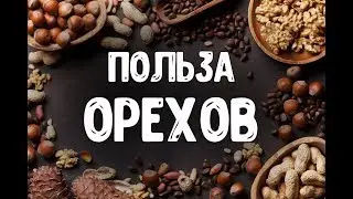 Польза Орехов для Человека. (Ты Должен Это Знать!)