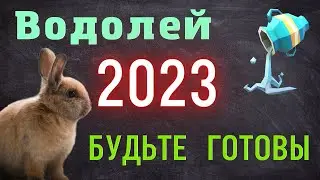 ВОДОЛЕЙ - ГОРОСКОП НА 2023 ГОД