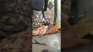 Жёсткое ДТП