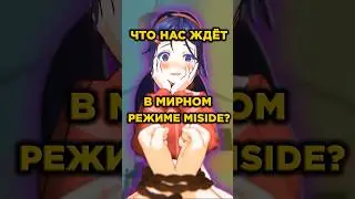 ЧТО ЗА МИРНЫЙ РЕЖИМ В МИСАЙД | MISIDE