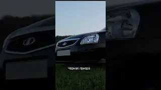 Серая десятка...