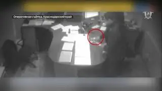 ✅ Коррупция в МВД! 9 лет тюрьмы за красивые номера на авто