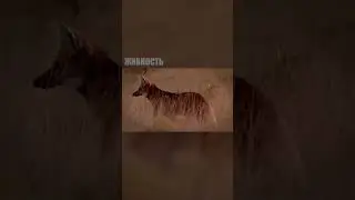 Это Лиса или Волк? 🤔