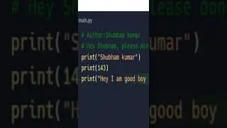 Python code example 