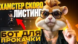 HAMSTER KOMBAT ЛИСТИНГ УЖЕ СКОРО / ОБНОВЛЕНИЕ В ИГРЕ