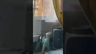 #жижинет