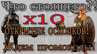 Raid Shadow Legends | Ждем ПРОМОКОДОВ! |  Получаем НИНЗЮ! | Что стоящего Х 10 | Открываем осколки!